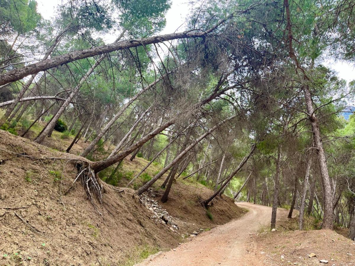 Casa Malacitano, Caminito Del Rey Valle de Abdalagis Bagian luar foto